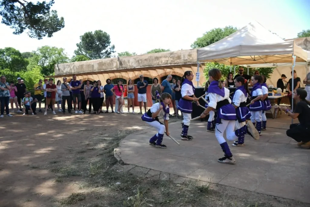 Barberà del Vallès va ser una de les seus del 15è Festival de Joves Músics Europeus 2025 (foto 9)