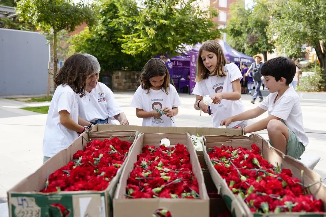 [50 TN] Amb el punt d’informació i el punt lila muntats, i la Federació…