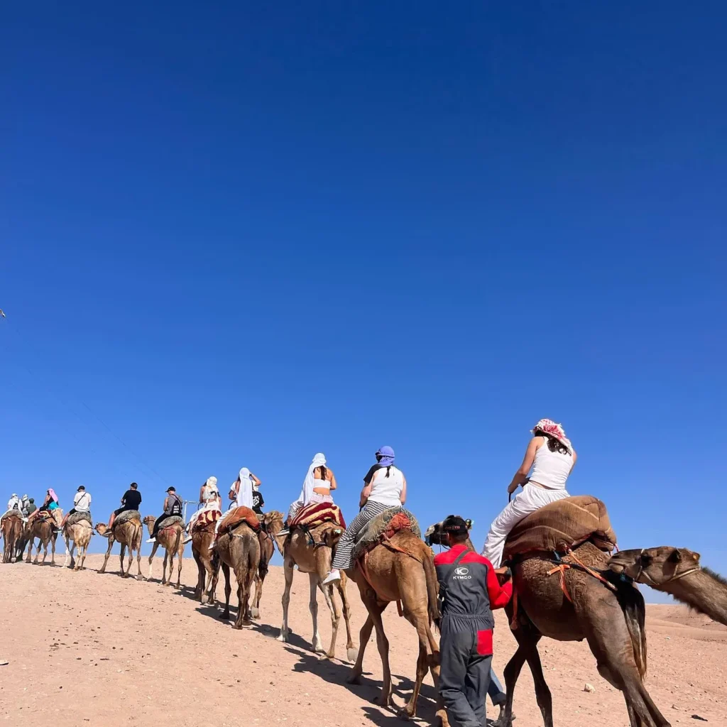 Segon dia de la Colla Bastonera Les Romanes - ARA I SEMPRE en el Marrakech Folklore Days! (foto 6)