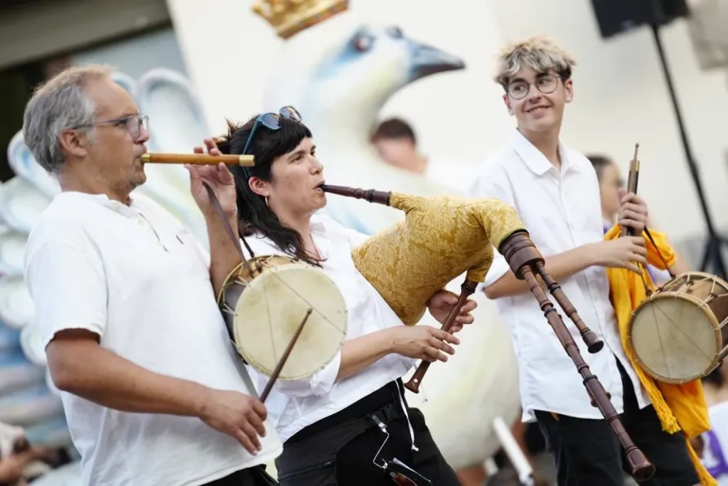 La màgia de la Cercavila de Danses i del Seguici de Festa Major (foto 3)