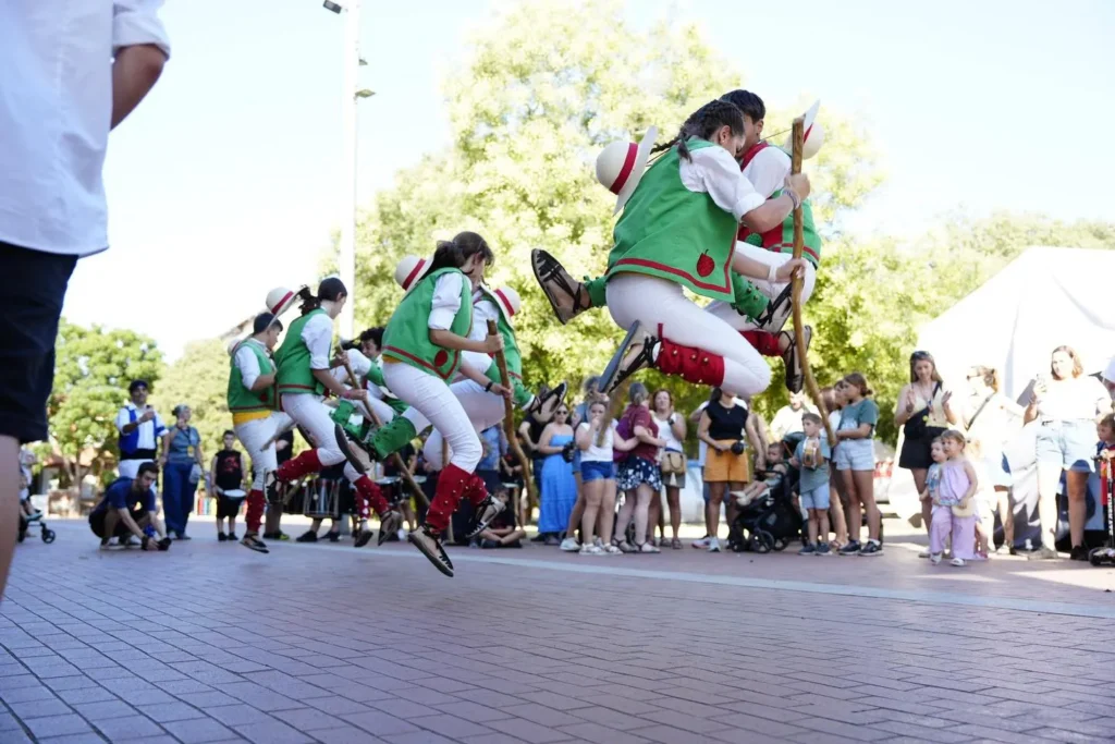 La màgia de la Cercavila de Danses i del Seguici de Festa Major (foto 5)