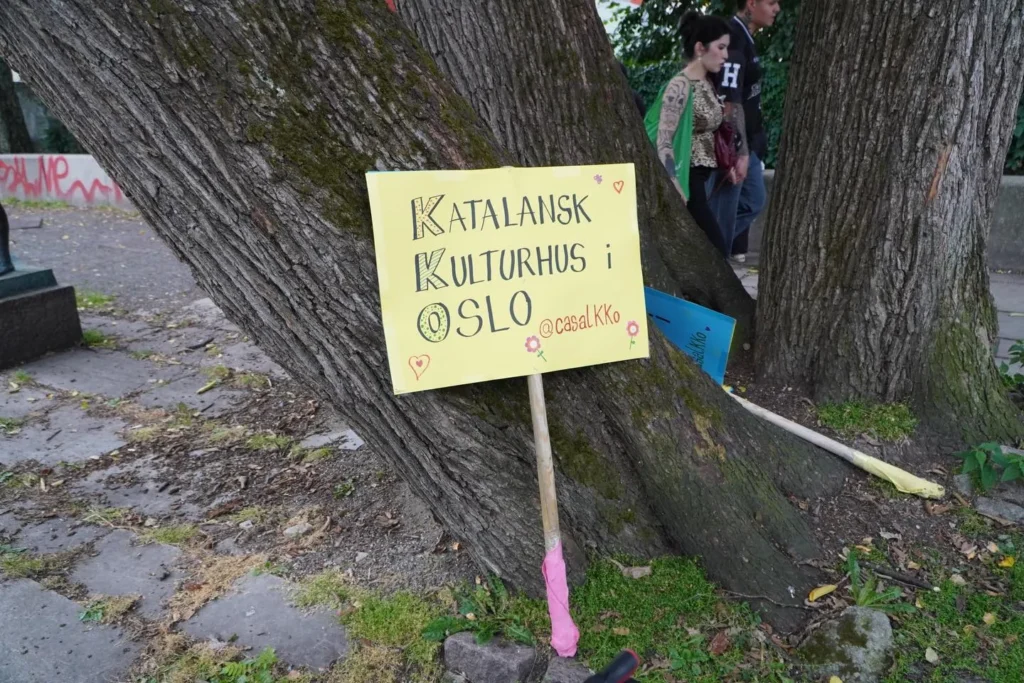 ELS BASTONS ES QUEDEN A NORUEGA! (foto 12)